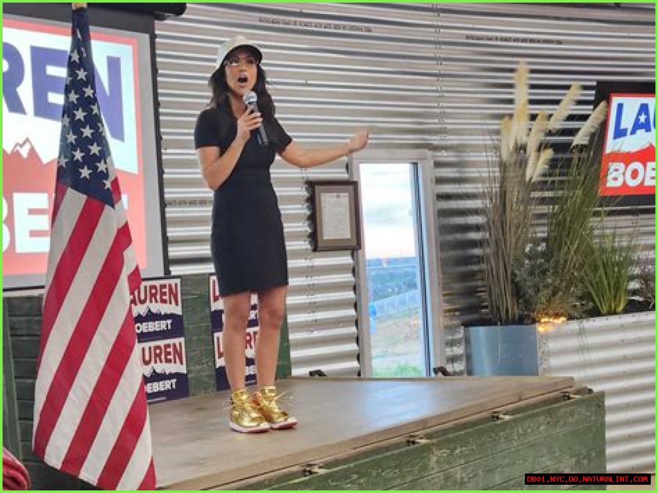 Lauren Boebert's Ethnicity: Unveiling The Roots Of A Controversial Figure